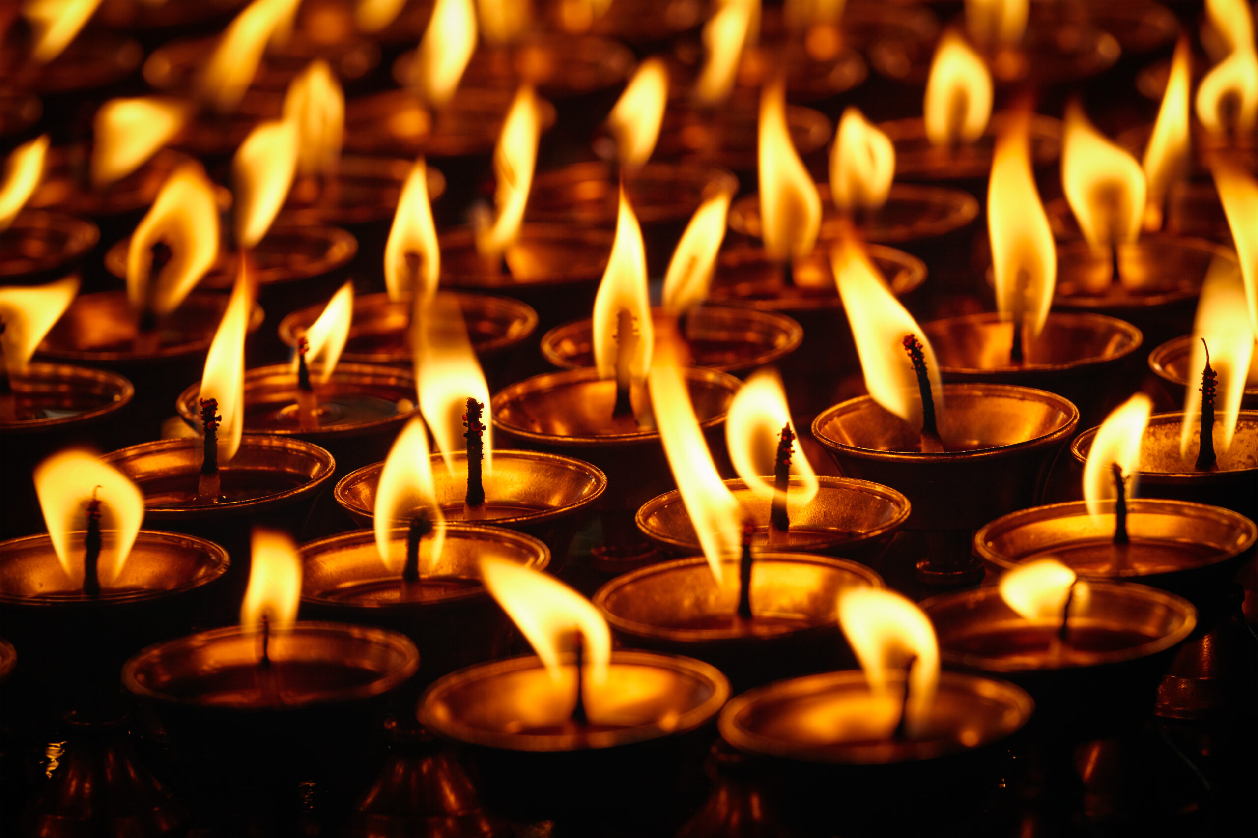 Burning candles in Buddhist temple. Dharamsala, Himachal Pradesh, India